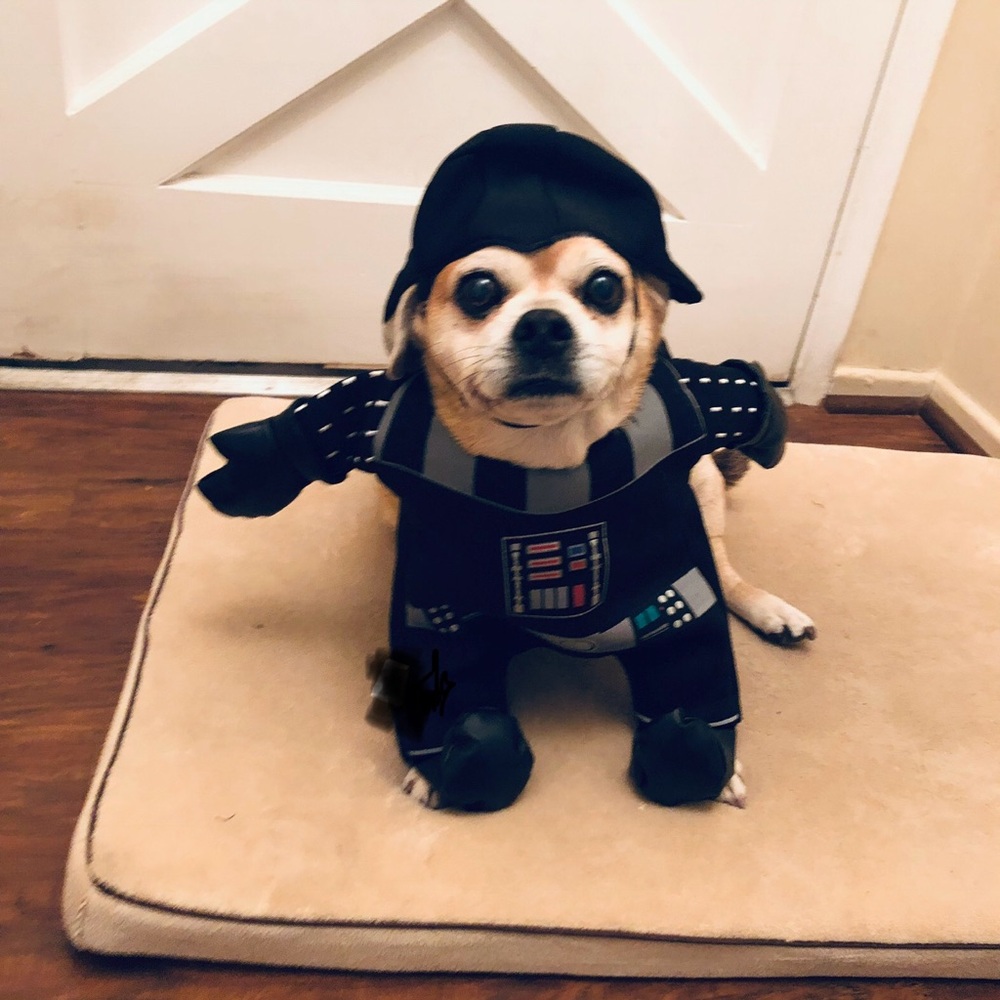 Star Wars Black Darth Vader Dog costume with Cape - Picture 6 of 6